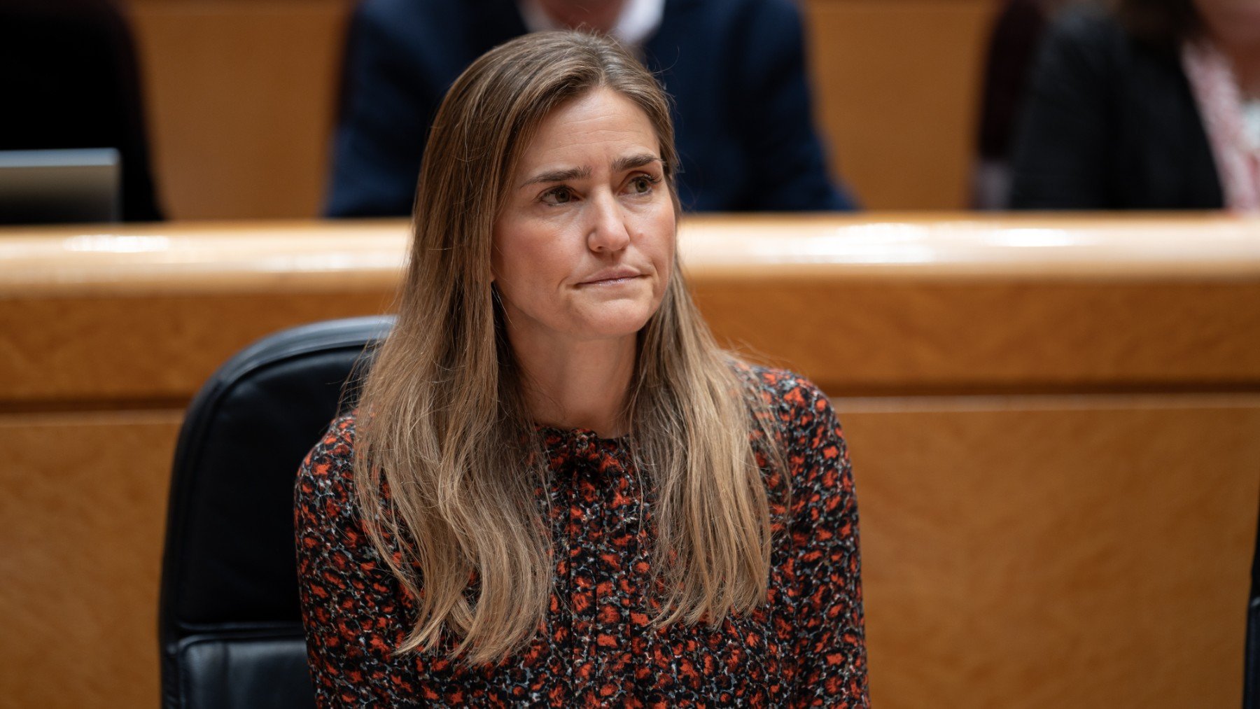 Sara Aagesen en el Senado. (Foto: EP).