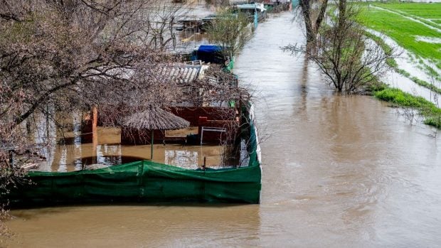 Zonas de cultivo inundadas en los aledaños del río Jarama