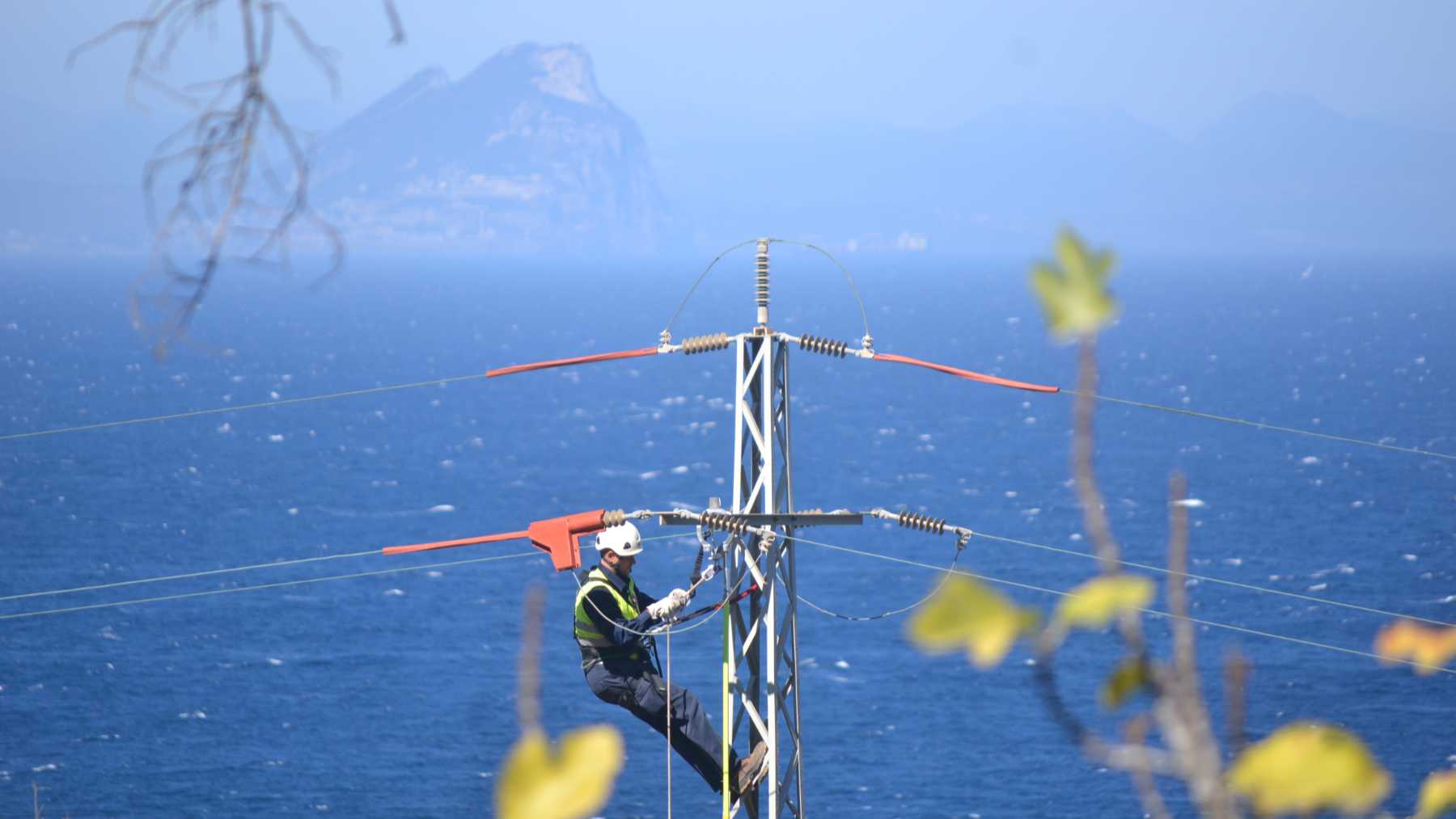 Se aplican medidas preventivas y correctivas para reducir el riesgo de electrocución y colisión de las aves con los tendidos eléctricos