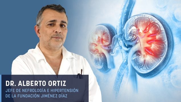 Dr. Alberto Ortiz: «La obesidad acelera el envejecimiento del riñón y puede progresar a fallo renal»