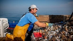 Pescadores mar