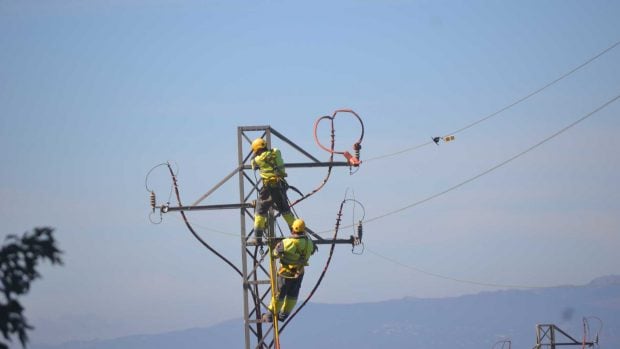 Protección de aves tendidos eléctricos