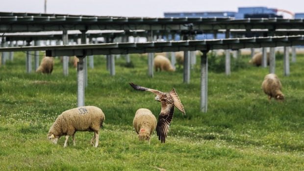 fotovoltaica-habitat