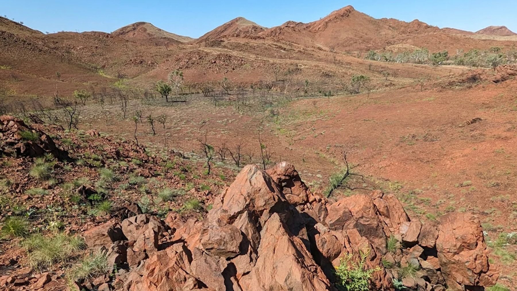 Una «cabaña» de cono astillado de aproximadamente un metro de altura, con las colinas ondulantes de Pilbara al fondo. Imagen: Chris Kirkland, Curtin University.