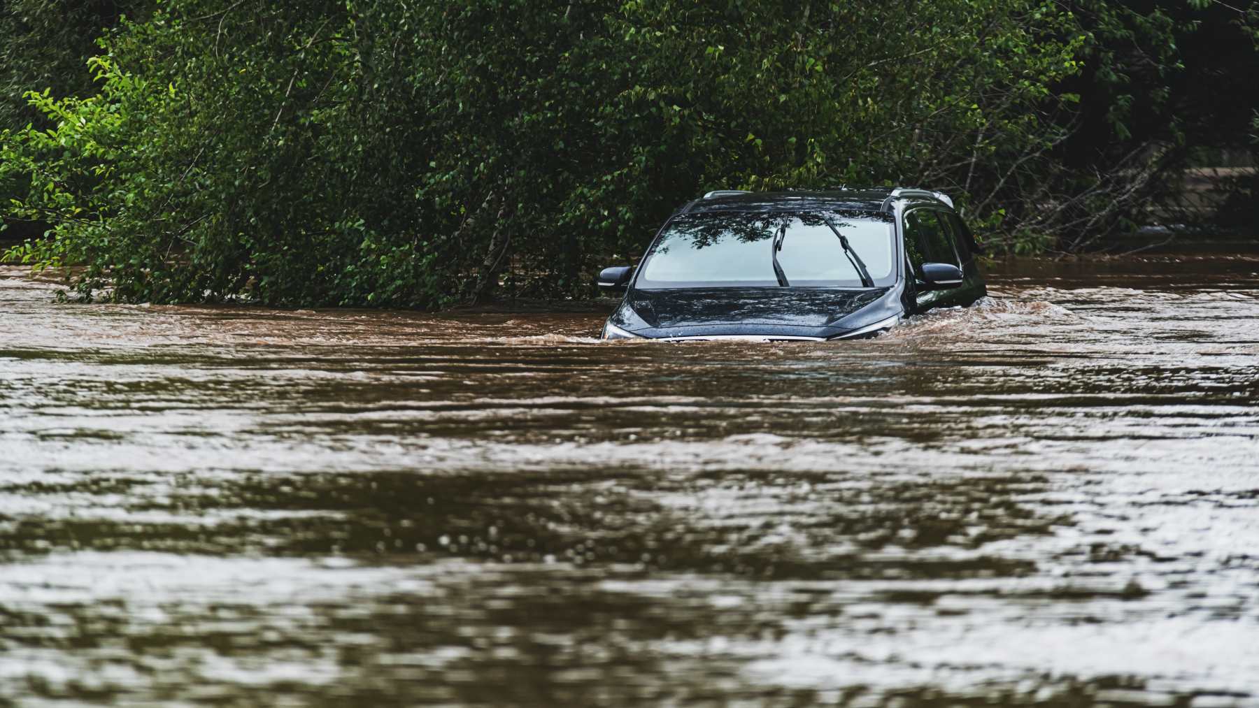 Bacterias tras inundaciones.