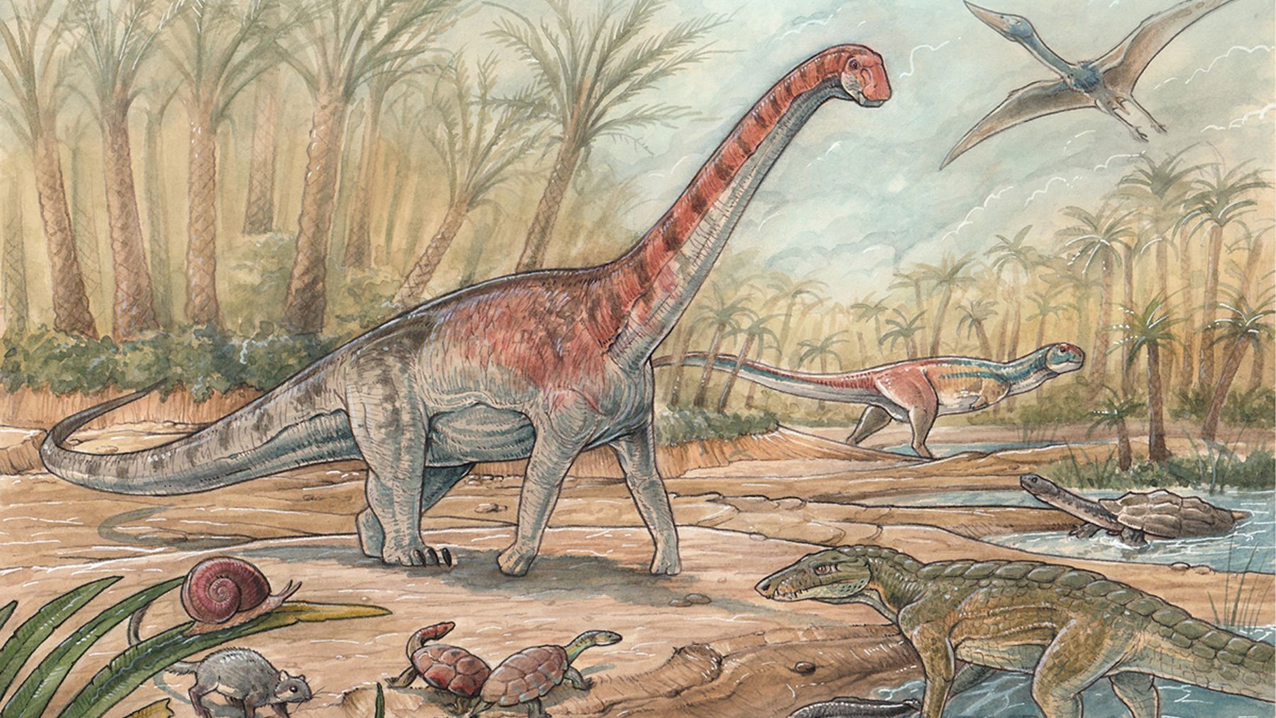 Descubrimiento histórico: confirman que los fósiles de este yacimiento son de una nueva especie de dinosaurio