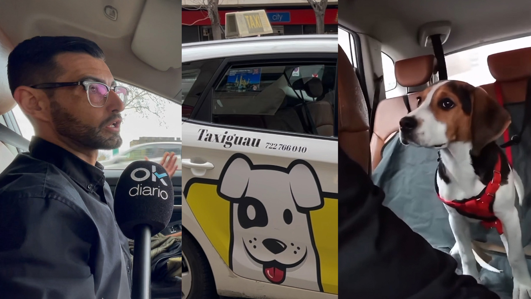 El drama de un aragonés inventor de un taxi para mascotas: «Me boicotearon, quise quitarme la vida»