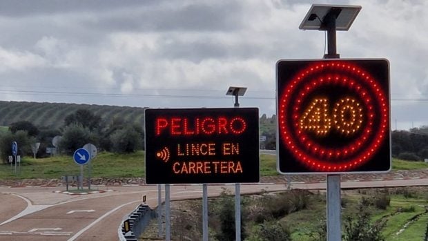 Señales carretera lince