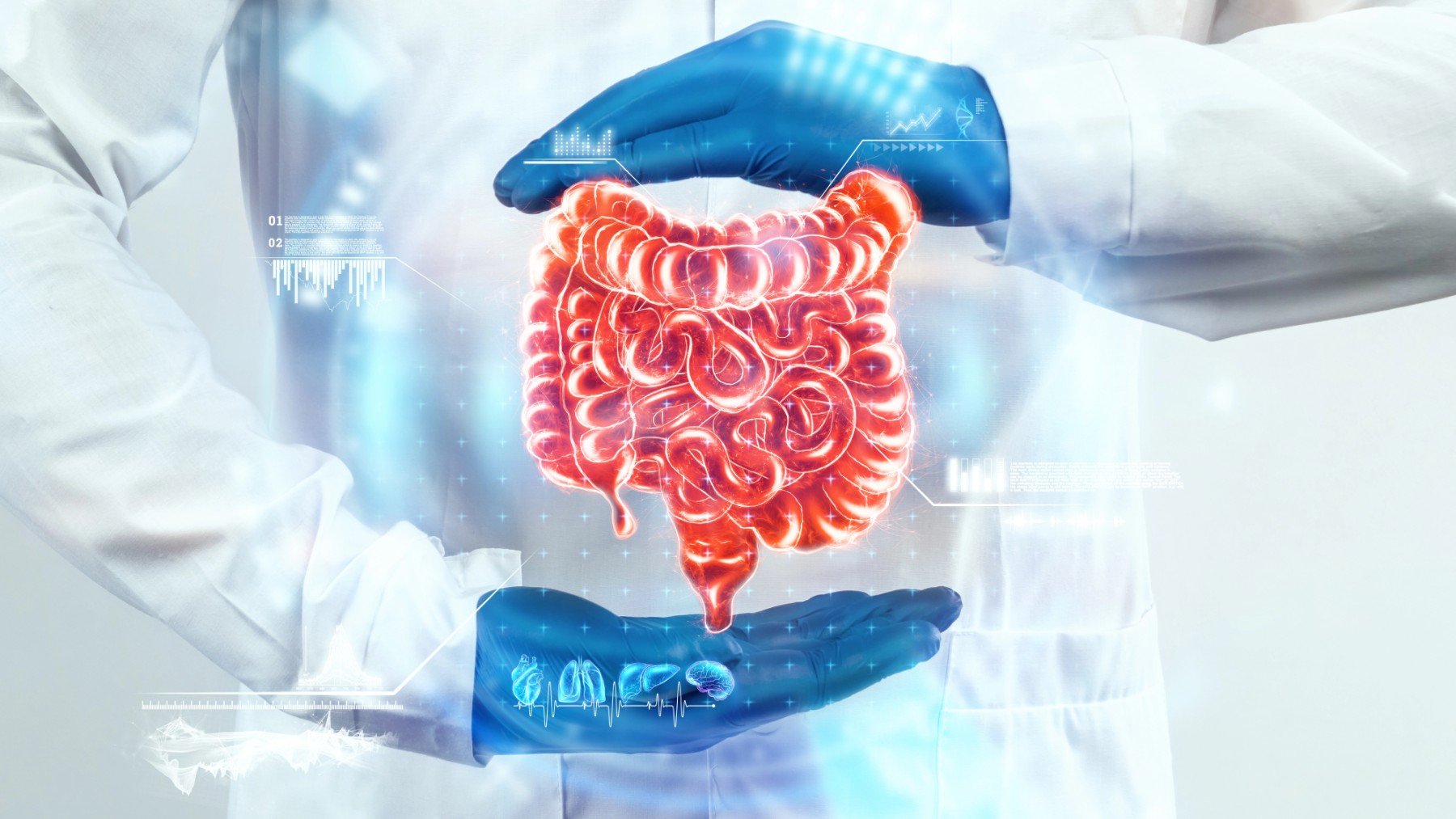 Un sanitario muestra de forma virtual un intestino, fuente inmunológica.