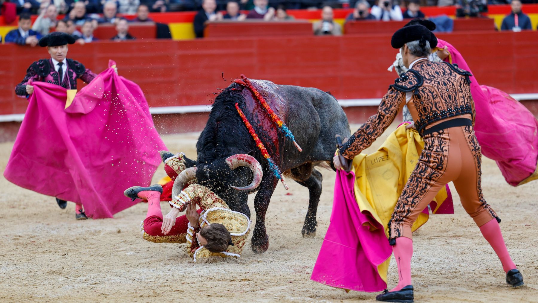 Espeluznante cogida de Borja Jiménez en el festejo de Fallas benéfico por la DANA en Valencia