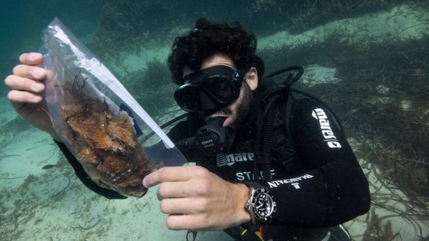 Biólogo tomando muestras de posidonia