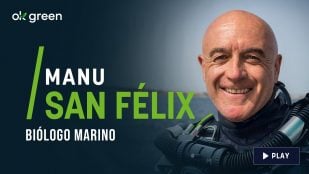 Manu San Félix