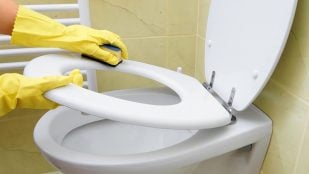 Blanquear los asientos del váter