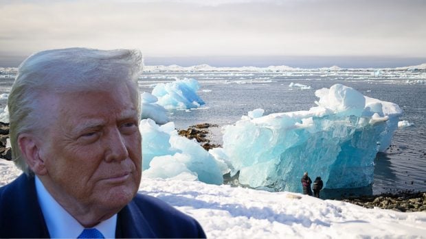 Trump Groenlandia habitante, 10.000 d&oacute;lares,, tierras raras Groenlandia Trump, precio compra, IA Elon Musk