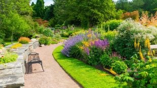 Santuario natural de España