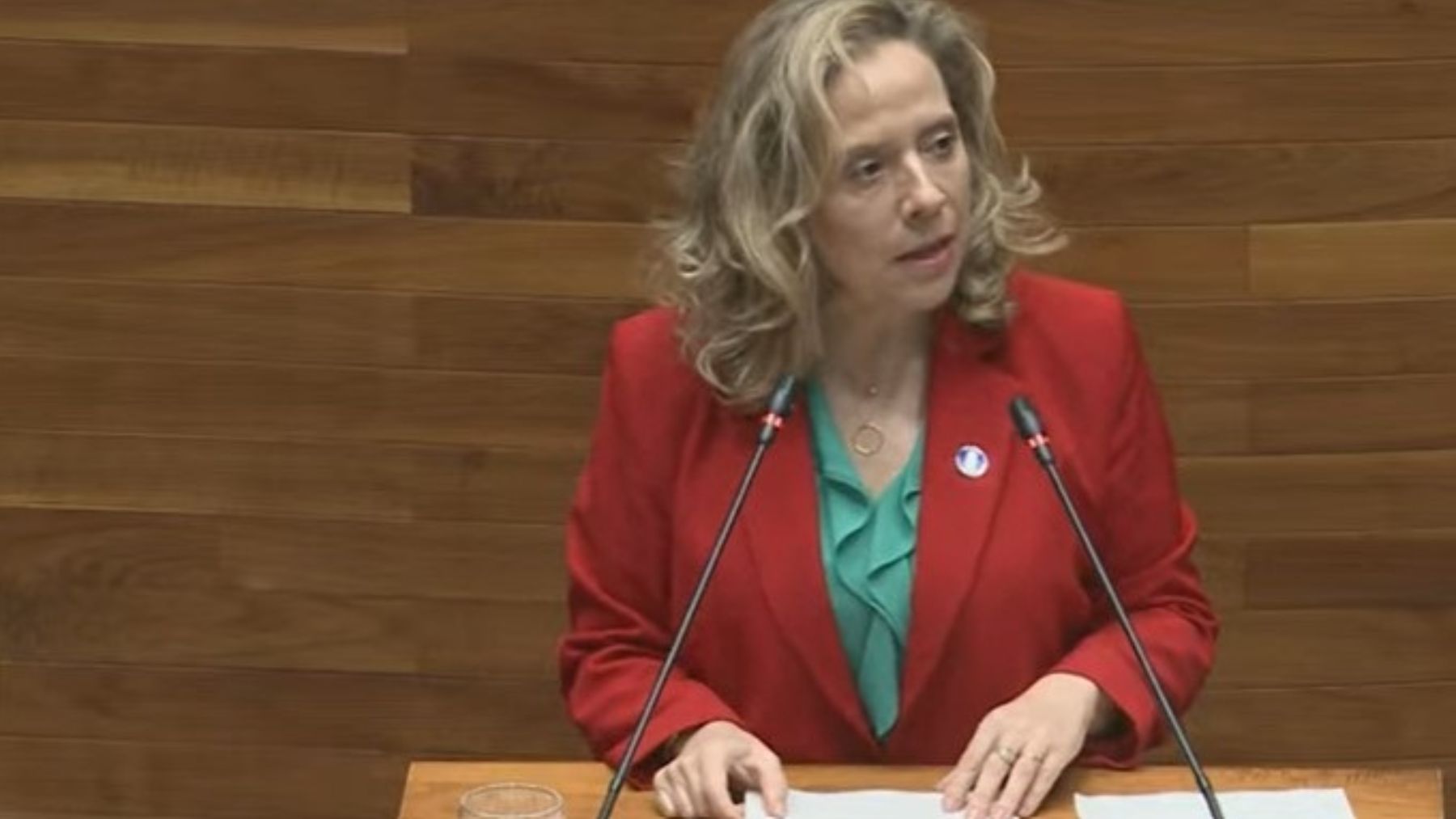 Belarmina Díaz, la ya ex consejera de Industria y Transición Ecológica de Asturias.