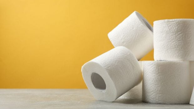Los rollos de papel higiénico