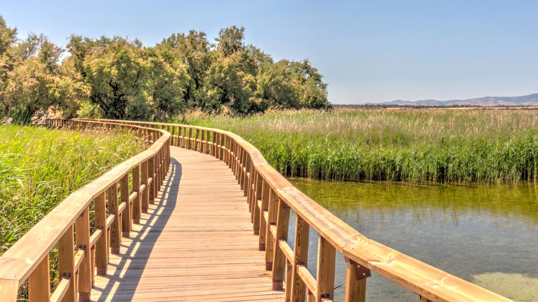 Las Tablas de Daimiel.