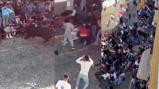Ver vídeo