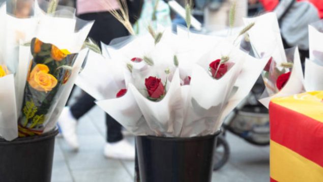 Las mejores flores para regalar en Sant Jordi 2025