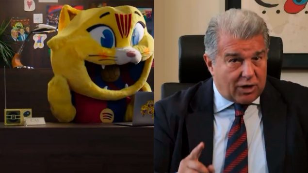Ver vídeo
