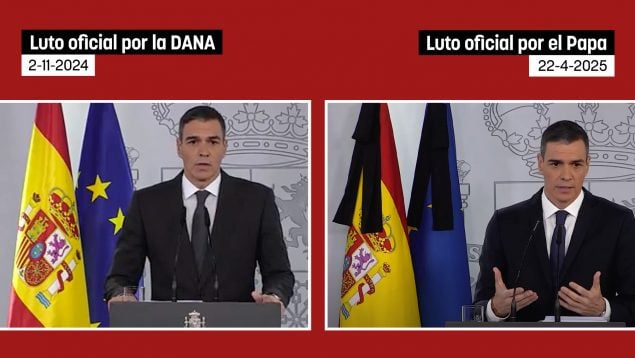 Ver vídeo