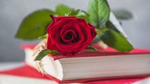 Adiós a San Jordi tal y como lo conocemos: la fiesta del libro cambia totalmente en 2026 en Barcelona