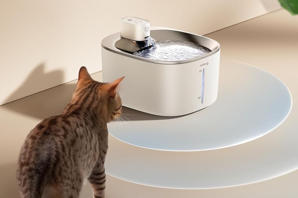 Fuente para gatos FEELNEEDY