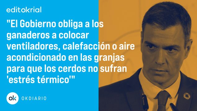 ¡Queremos ser tratados como cerdos, Pedro!