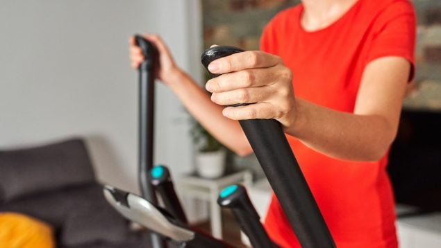 Swing Stepper, Lidl