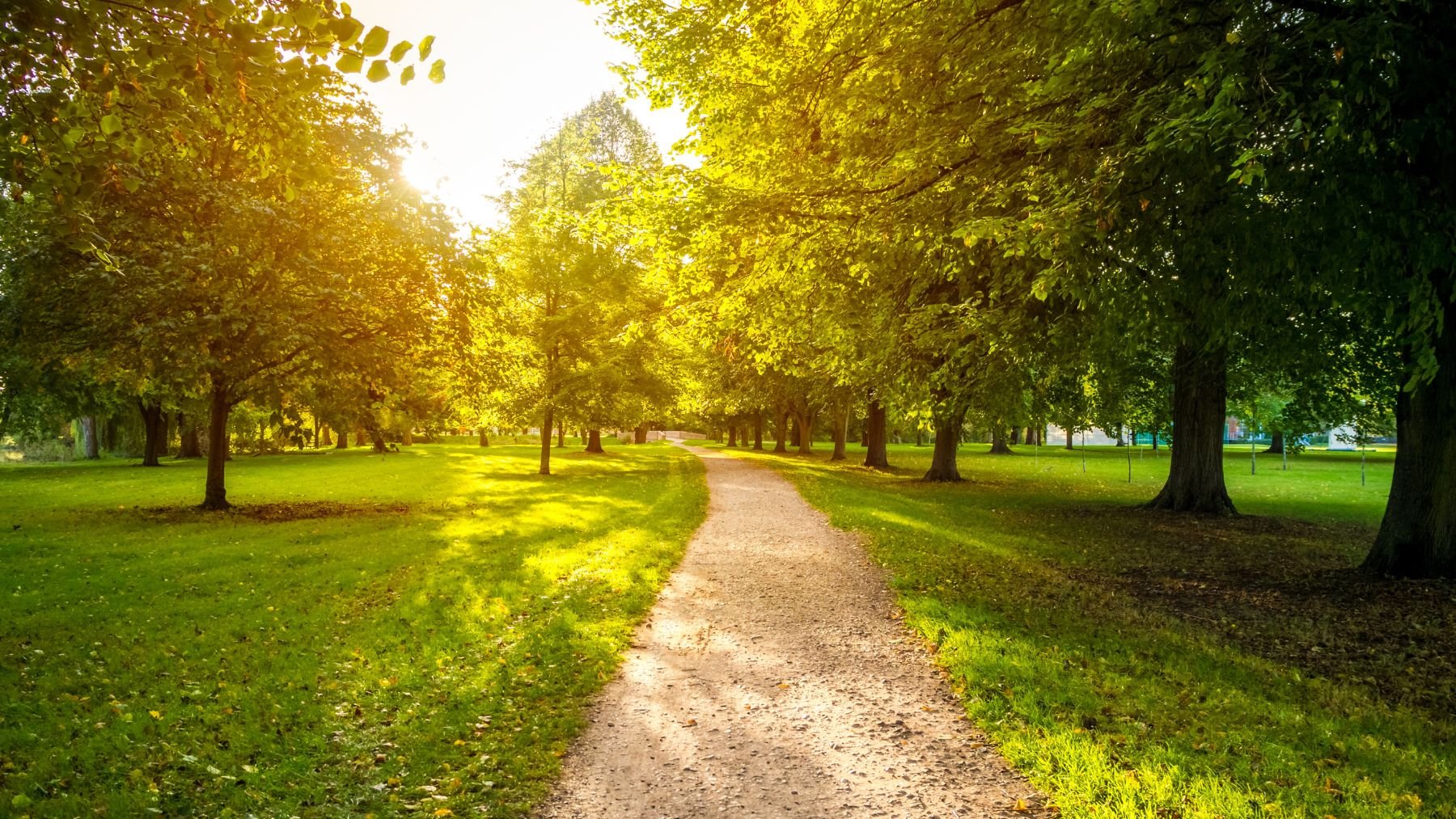 Parque. Foto: Freepik