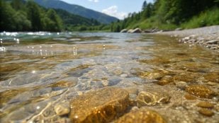 Río, oro, descubrimientos