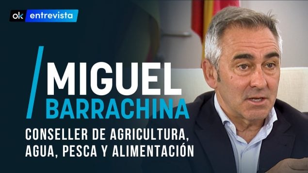 Ver vídeo