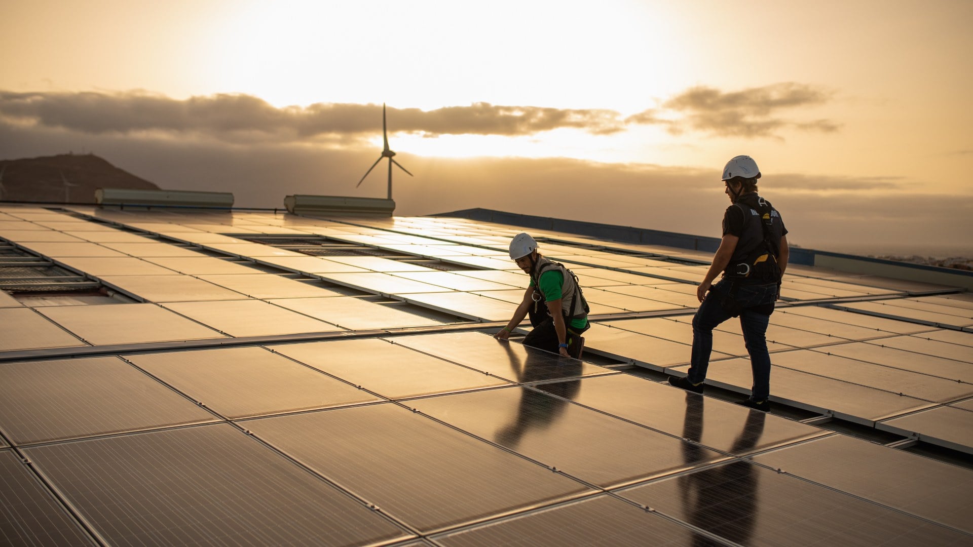 Las fotovoltaicas piden al Gobierno préstamos puente del ICO para evitar decenas de quiebras antes de 2030