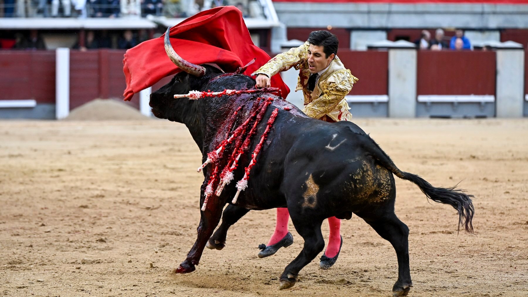 Álvaro Lorenzo con la espada en el segundo de su lote. (Foto: EFE)