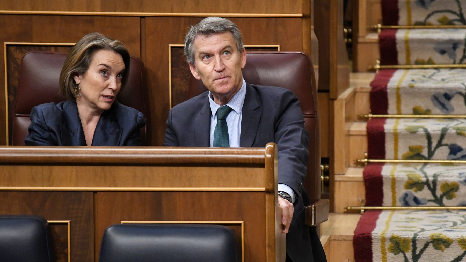 El presidente del Partido Popular, Alberto Núñez Feijóo, y la secretaria general del PP, Cuca Gamarra. (Foto: EP)