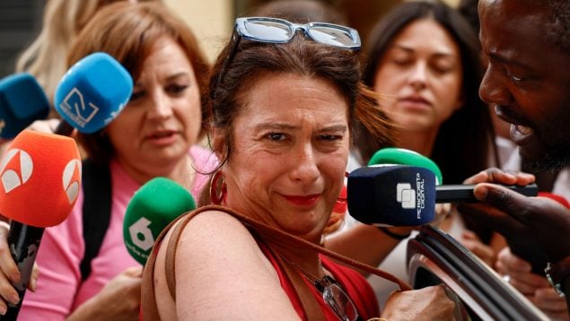 Leire Díez Castro, PSOE, Santos Cerdán, fontaneros PSOE