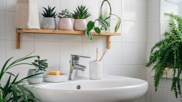 Plantas en el baño