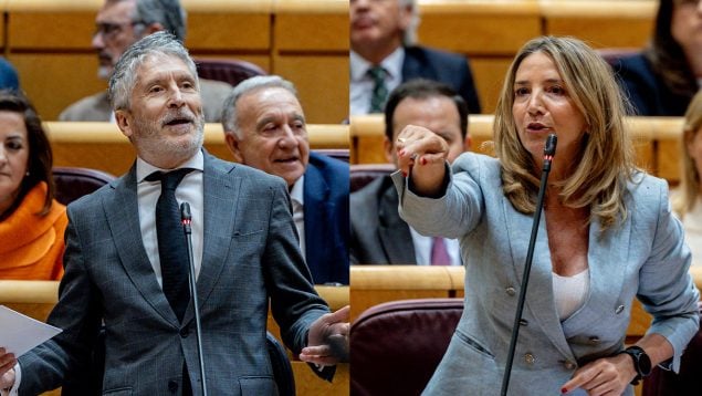 Ver vídeo