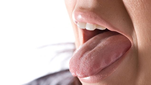 lengua