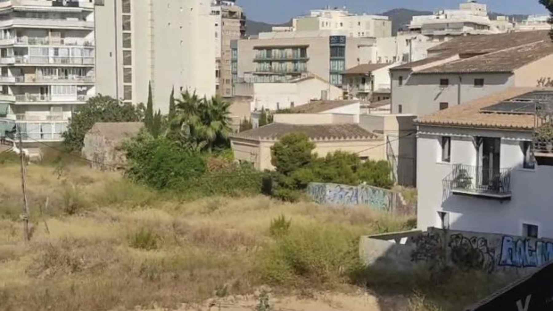 Imagen del solar de Es Jonquet que será urbanizado.