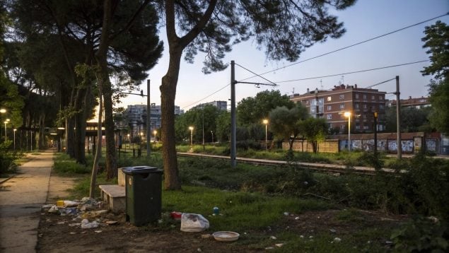 Hábitat urbano, animales, especie invasora