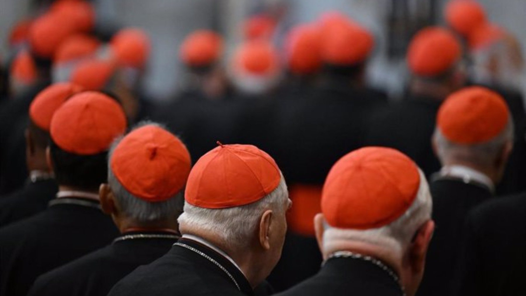 Cardenales. (EP)