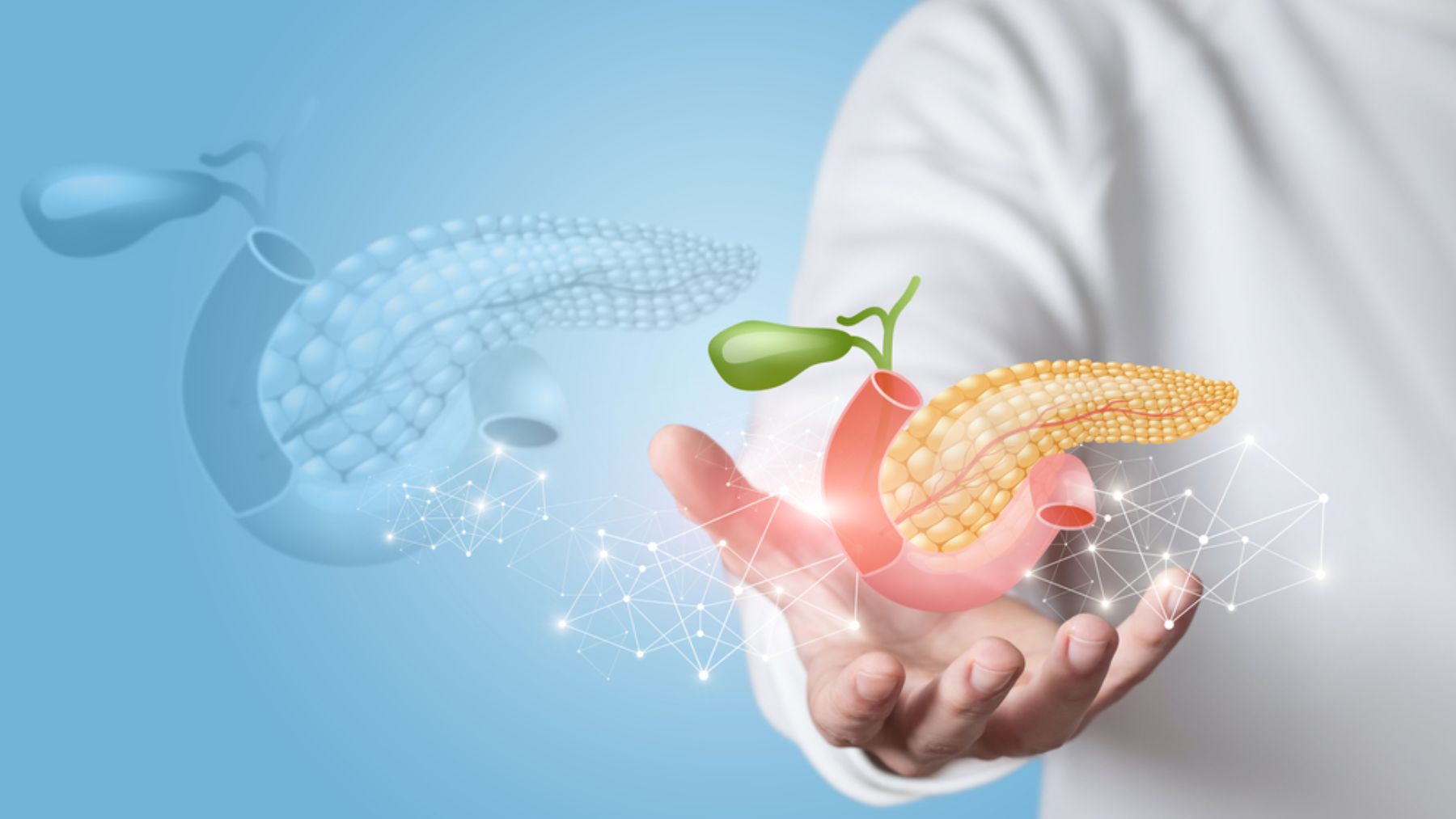 Más cerca de curar la diabetes: avanza la investigación para regenerar el páncreas