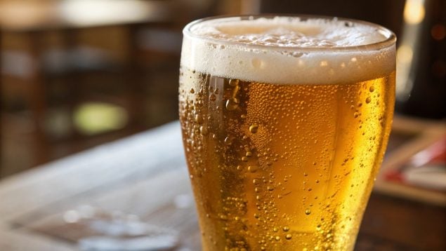 Cerveza, bebidas, descubrimiento, historia