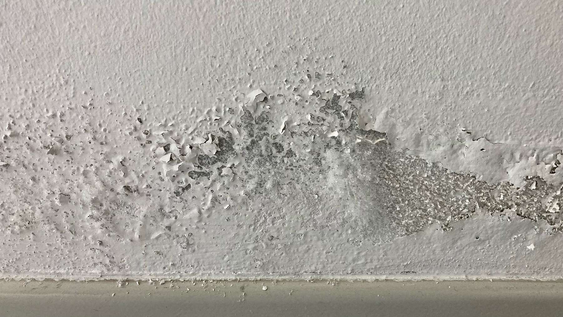 El truco de los expertos para acabar con el moho en minutos: adiós a las humedades en tu casa