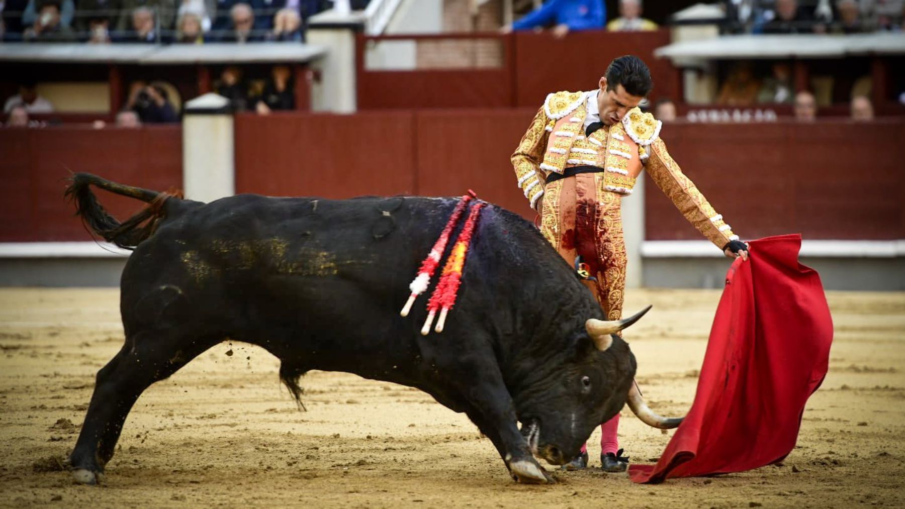 Talavante abre la Puerta Grande de San Isidro el primer día de feria con una faena espectacular