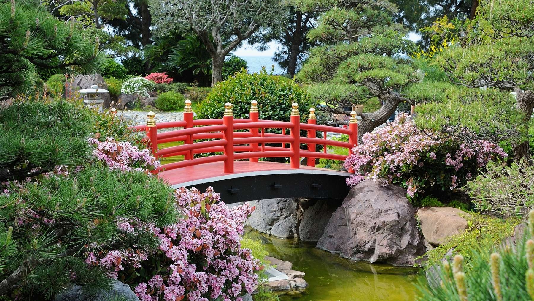 Viaja a Japón sin salir de Madrid: el parque lleno de encanto que debes visitar esta primavera