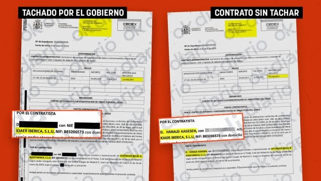Sara Aagesen, hermano, contrato