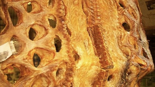 Congrio seco, alimentos, comida, gastronomía
